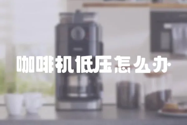 咖啡機(jī)低壓怎么辦