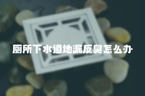 廁所下水道地漏反臭怎么辦