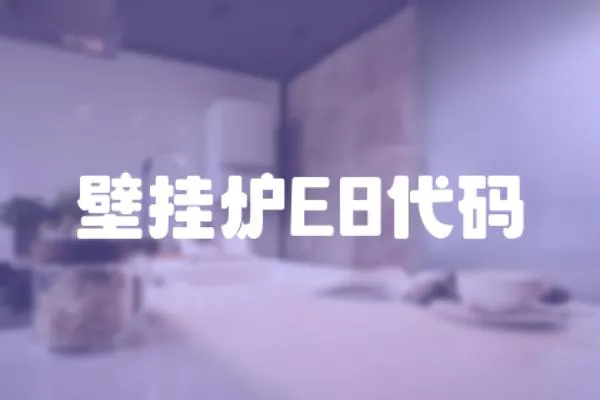 壁掛爐E8代碼