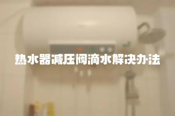 熱水器減壓閥滴水解決辦法