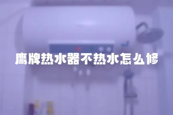 鷹牌熱水器不熱水怎么修