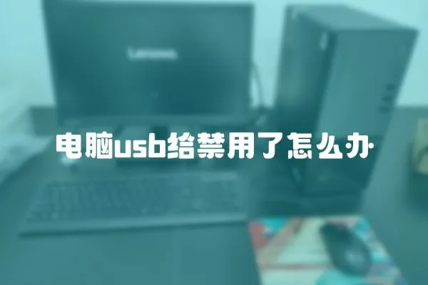 電腦usb給禁用了怎么辦