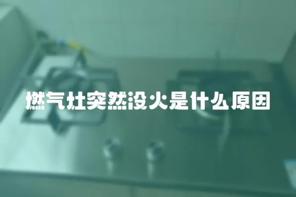 燃?xì)庠钔蝗粵]火是什么原因