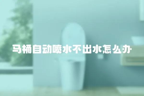 馬桶自動噴水不出水怎么辦