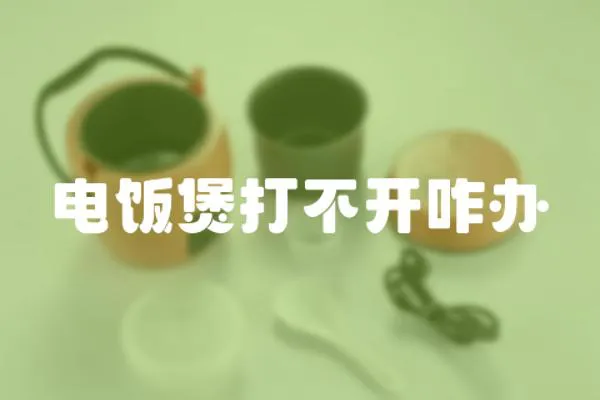 電飯煲打不開咋辦