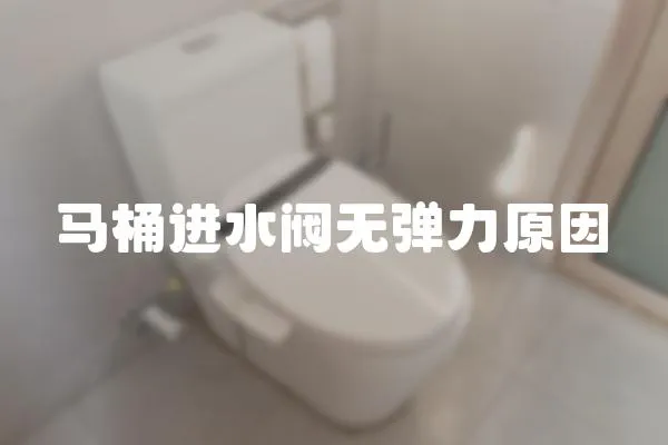 馬桶進水閥無彈力原因