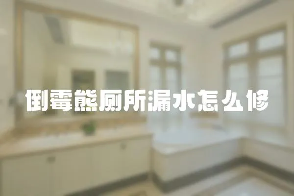 倒霉熊廁所漏水怎么修