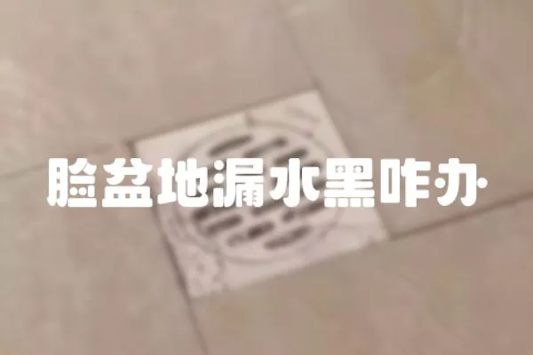 臉盆地漏水黑咋辦
