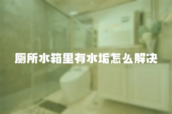 廁所水箱里有水垢怎么解決