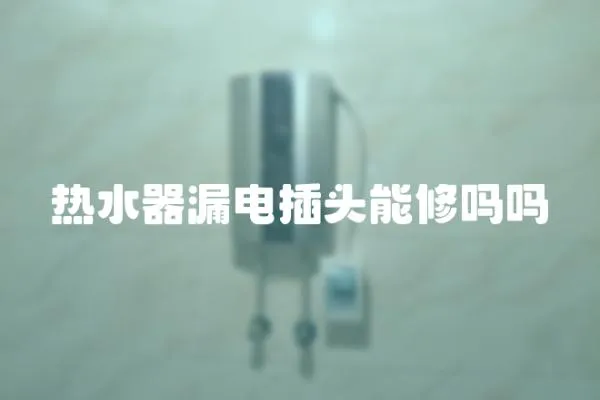 熱水器漏電插頭能修嗎嗎