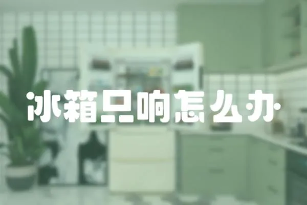 冰箱只響怎么辦