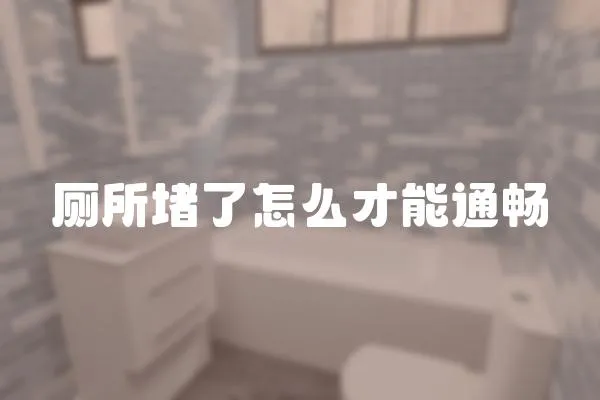 廁所堵了怎么才能通暢