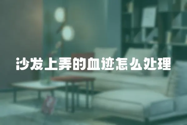 沙發上弄的血跡怎么處理