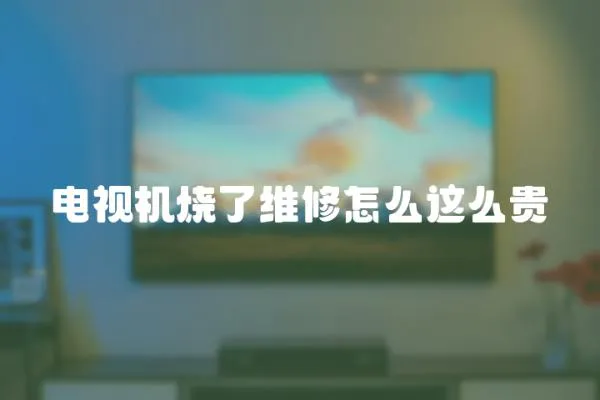 電視機(jī)燒了維修怎么這么貴