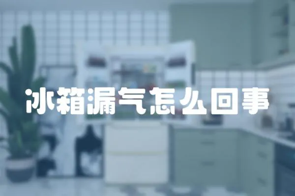 冰箱漏氣怎么回事