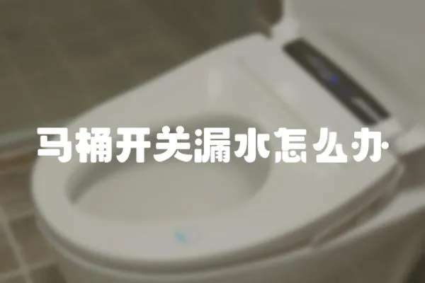 馬桶開關漏水怎么辦