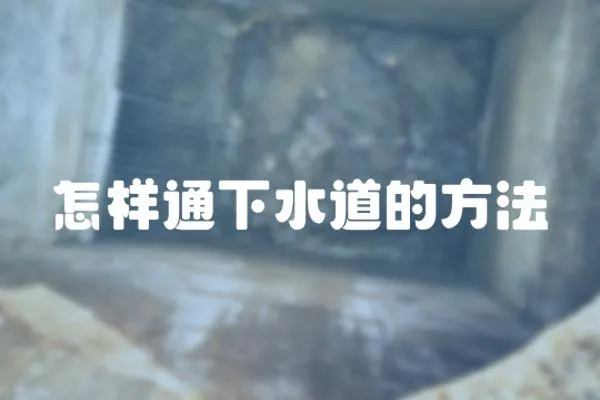 怎樣通下水道的方法