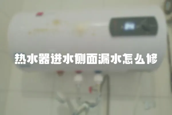 熱水器進水側(cè)面漏水怎么修