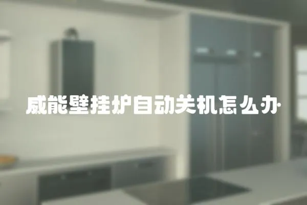 威能壁掛爐自動關(guān)機怎么辦