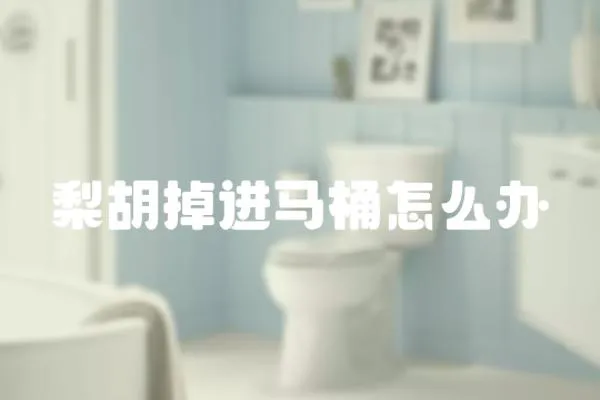 梨胡掉進馬桶怎么辦