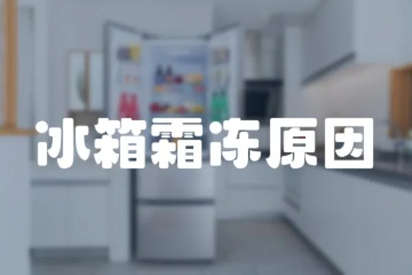 冰箱霜凍原因