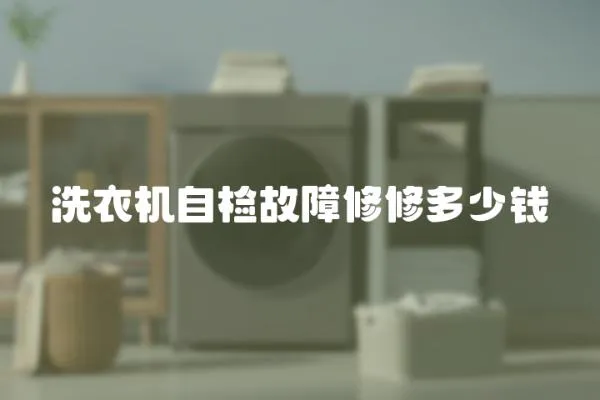 洗衣機自檢故障修修多少錢