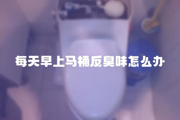 每天早上馬桶反臭味怎么辦