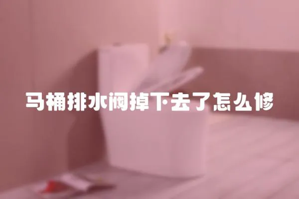 馬桶排水閥掉下去了怎么修