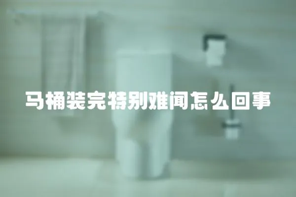 馬桶裝完特別難聞怎么回事