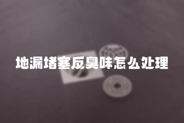 地漏堵塞反臭味怎么處理
