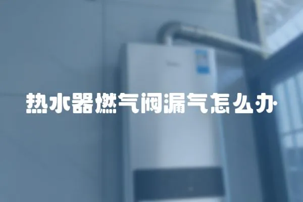 熱水器燃?xì)忾y漏氣怎么辦