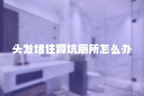 頭發堵住蹲坑廁所怎么辦