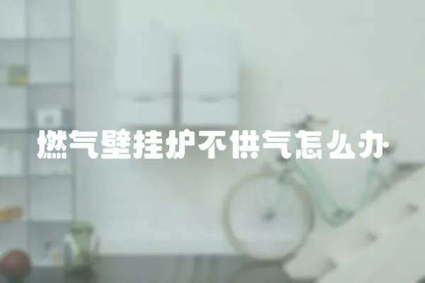 燃氣壁掛爐不供氣怎么辦