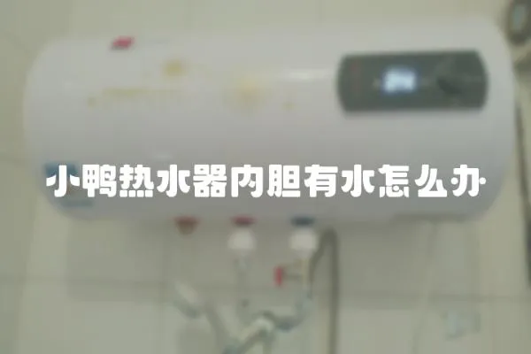 小鴨熱水器內膽有水怎么辦