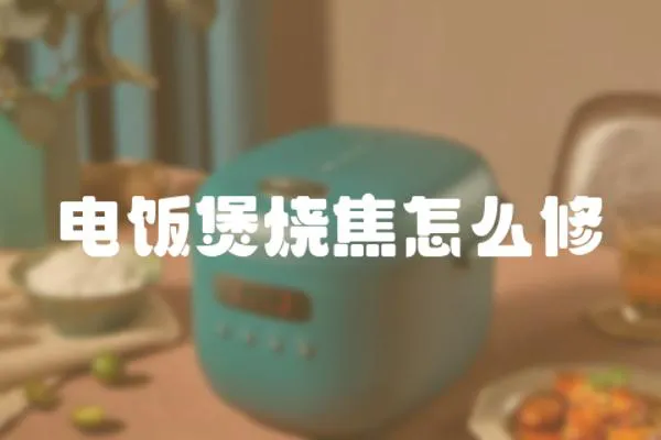 電飯煲燒焦怎么修