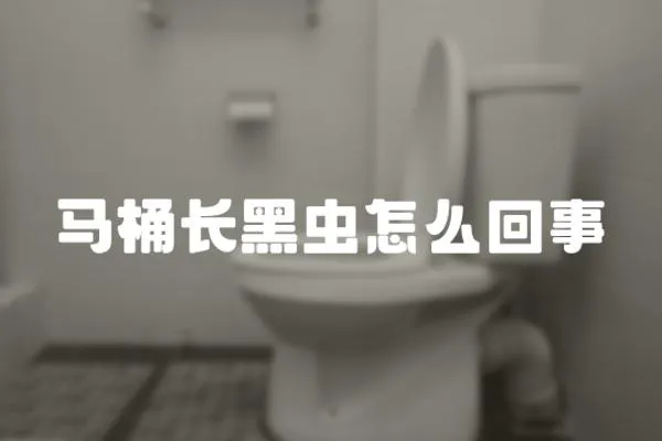 馬桶長黑蟲怎么回事