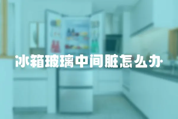冰箱玻璃中間臟怎么辦