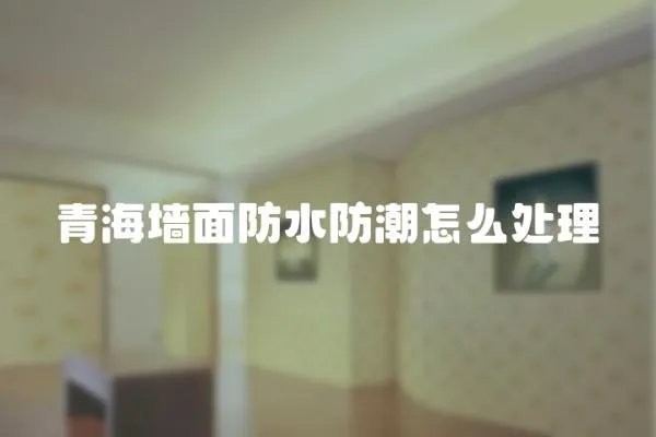 青海墻面防水防潮怎么處理