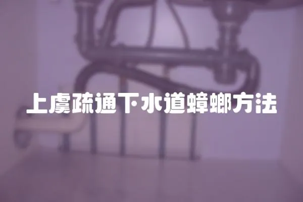 上虞疏通下水道蟑螂方法