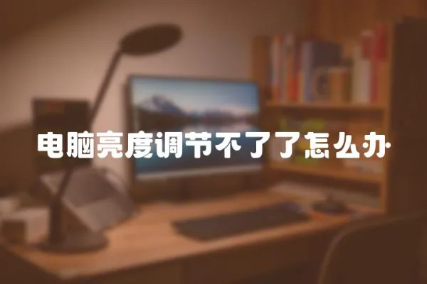 電腦亮度調(diào)節(jié)不了了怎么辦