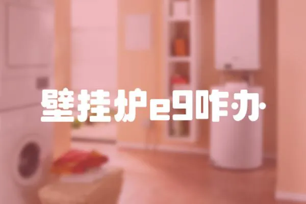壁掛爐e9咋辦