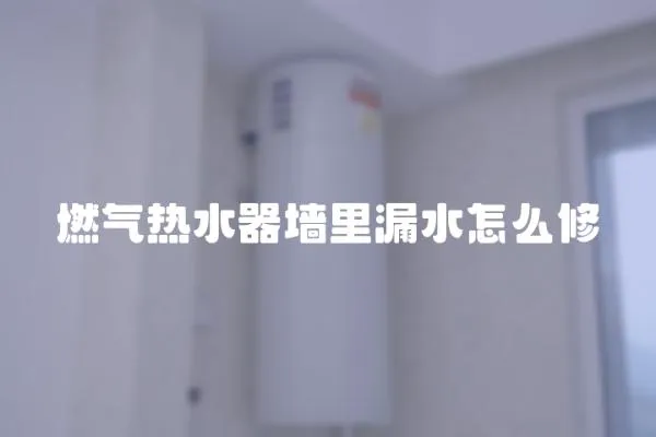 燃氣熱水器墻里漏水怎么修