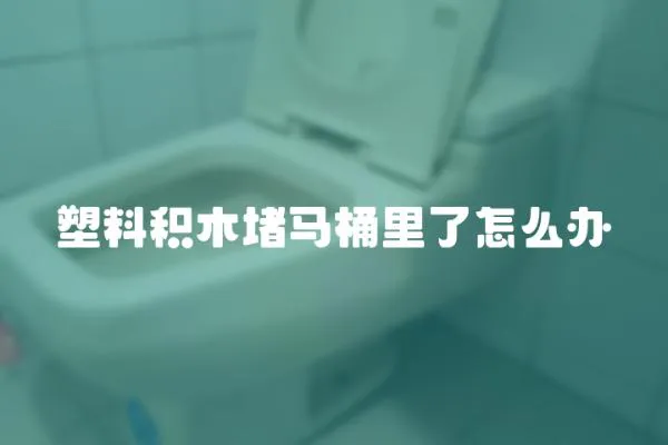 塑料積木堵馬桶里了怎么辦