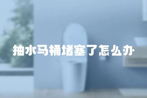 抽水馬桶堵塞了怎么辦