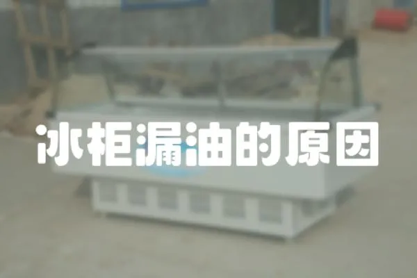 冰柜漏油的原因