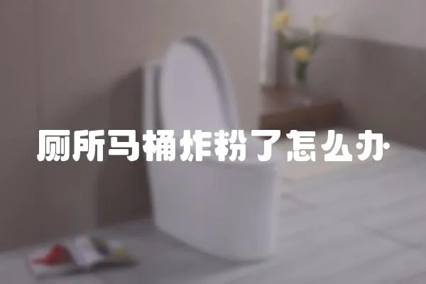 廁所馬桶炸粉了怎么辦