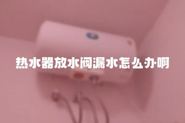 熱水器放水閥漏水怎么辦啊