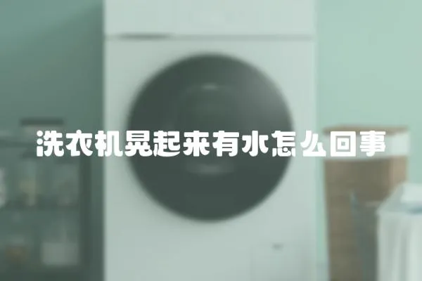 洗衣機晃起來有水怎么回事