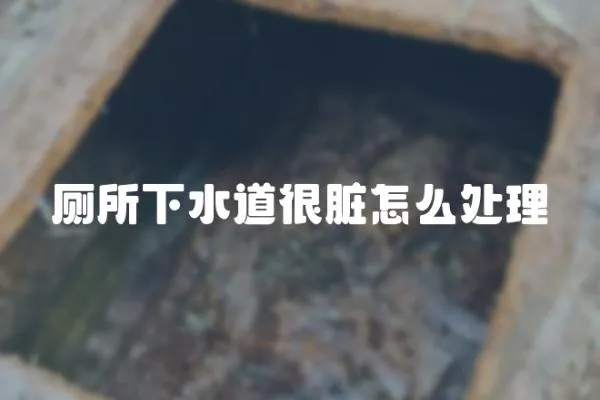廁所下水道很臟怎么處理