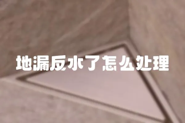 地漏反水了怎么處理